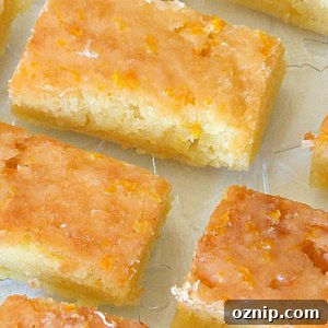 Orange Brownies