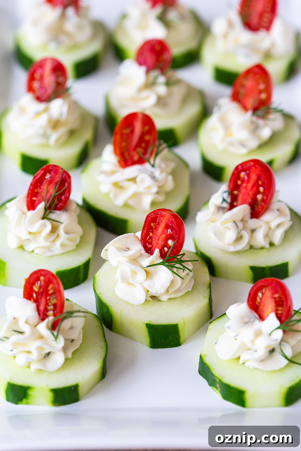 Cream Cheese Cucumber Bites Recipe 2 Cucumber Cream Cheese Bites with Tomatoes and Dill