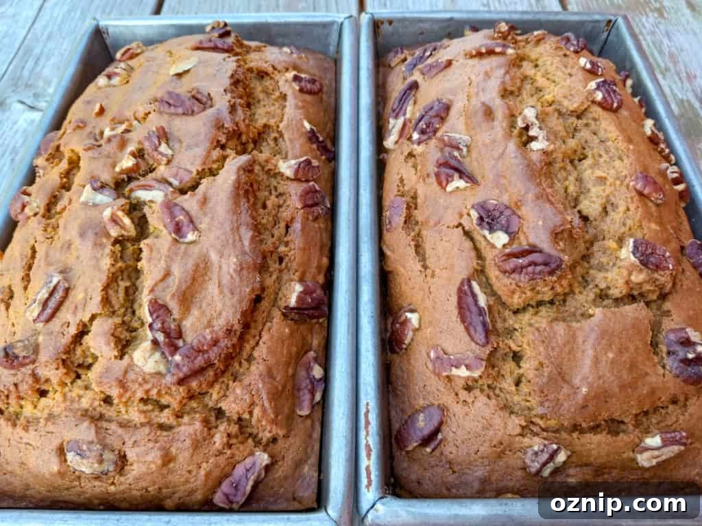 two loaves of pumpkin nut quick bread in bread pans.