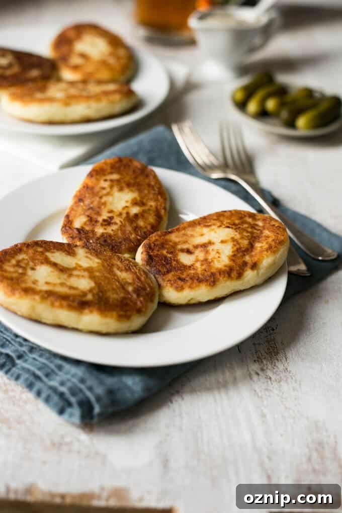Crispy Potato Cutlets with Creamy Mushroom Sauce 3 Potato cutlets with creamy mushroom and dill sauce