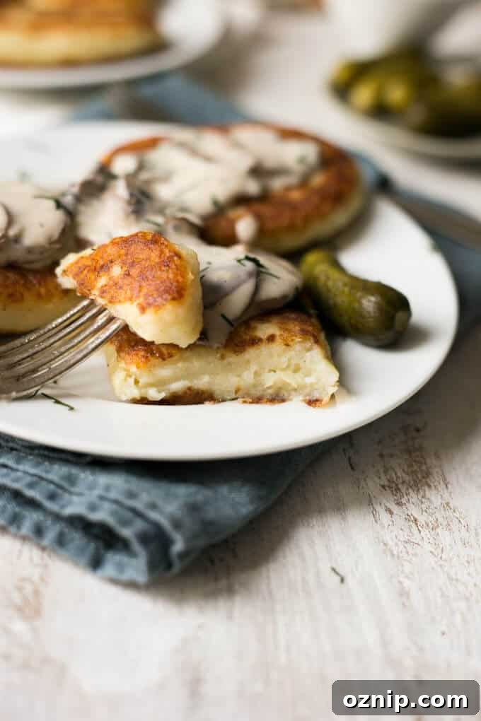 Crispy Potato Cutlets with Creamy Mushroom Sauce 5 Potato cutlets with creamy mushroom and dill sauce