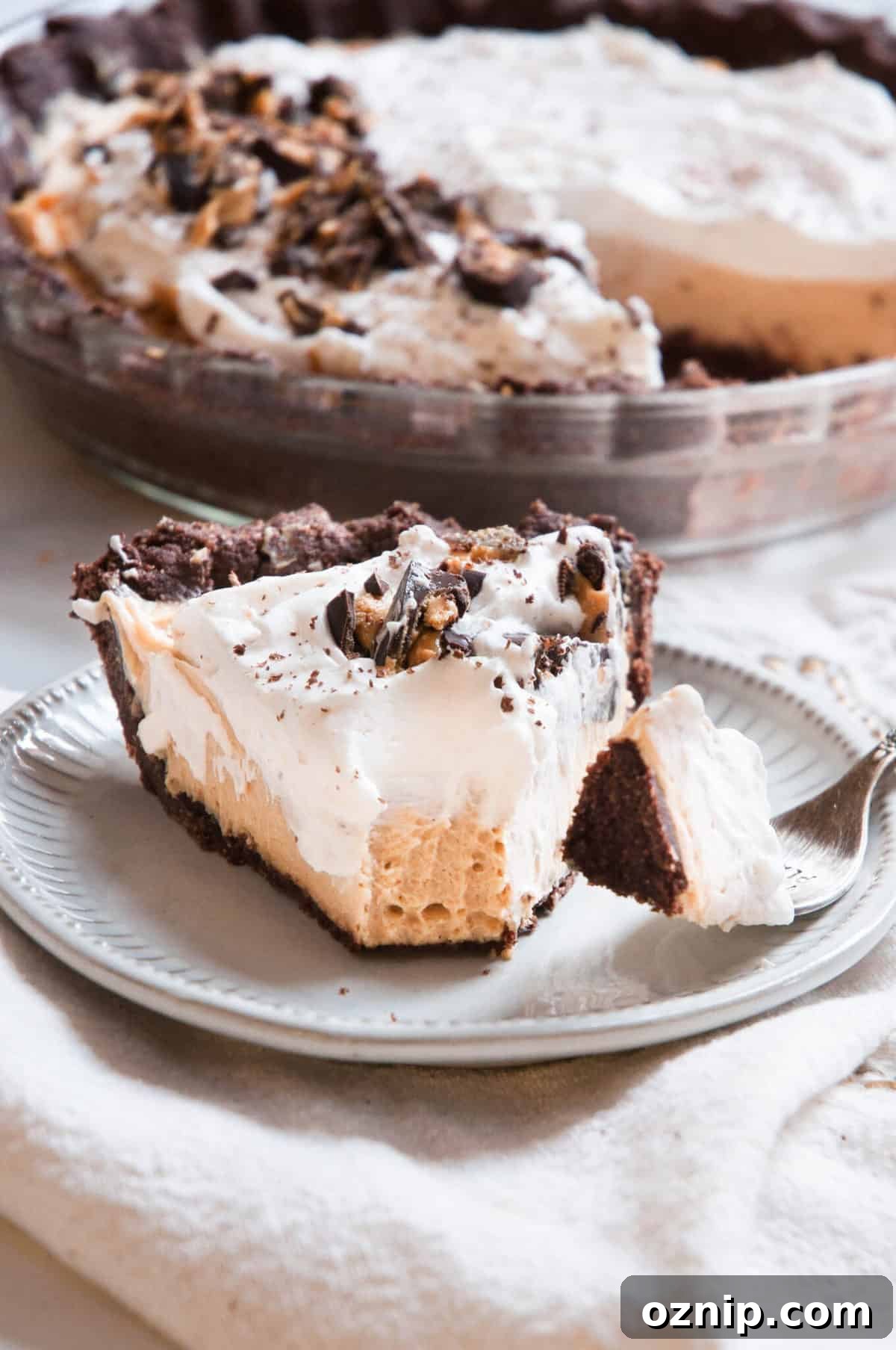 slice of peanut butter pie