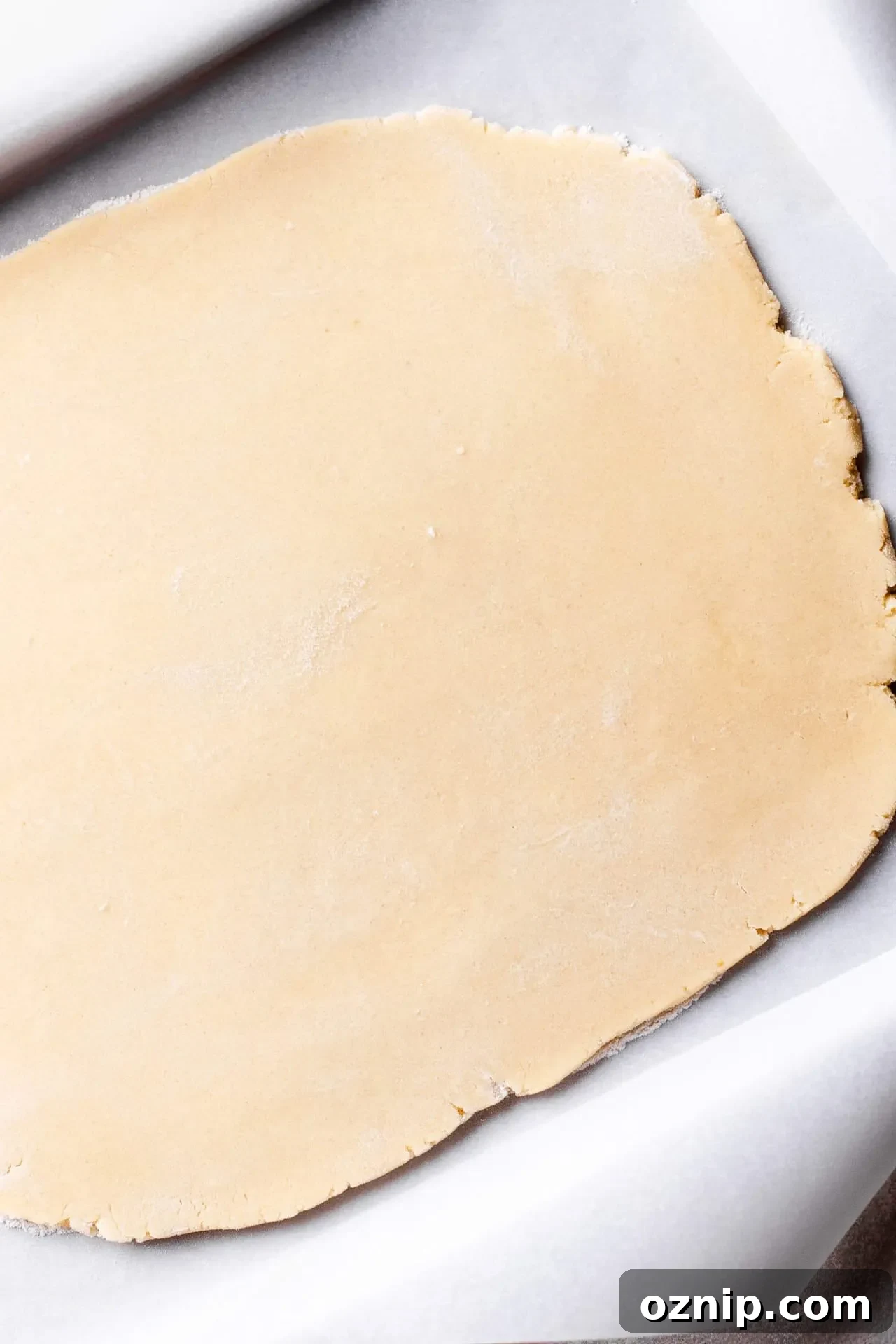 cut out sugar cookie dough rolled out on piece of parchment paper