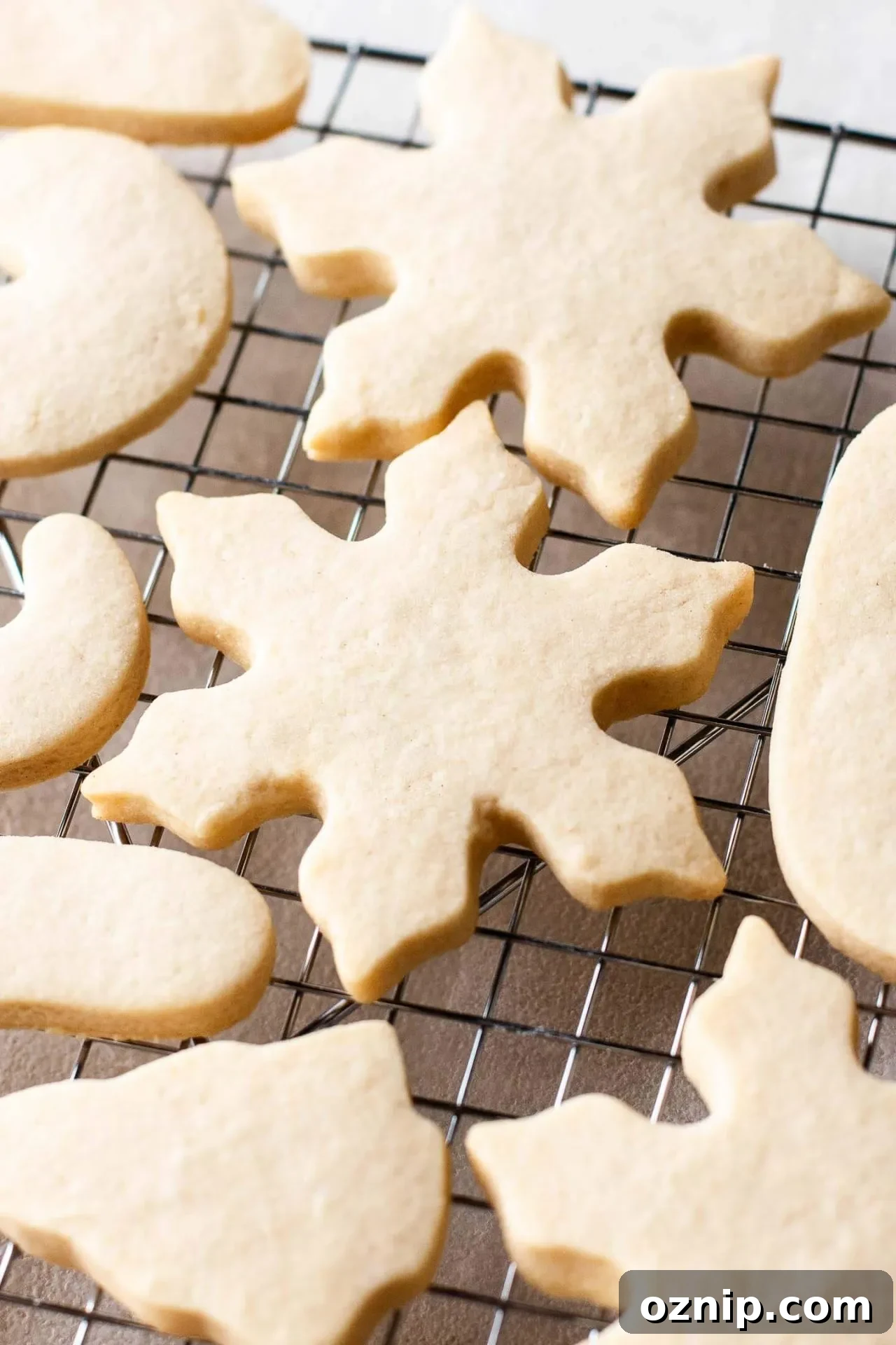 baked sugar cookies on wire rack
