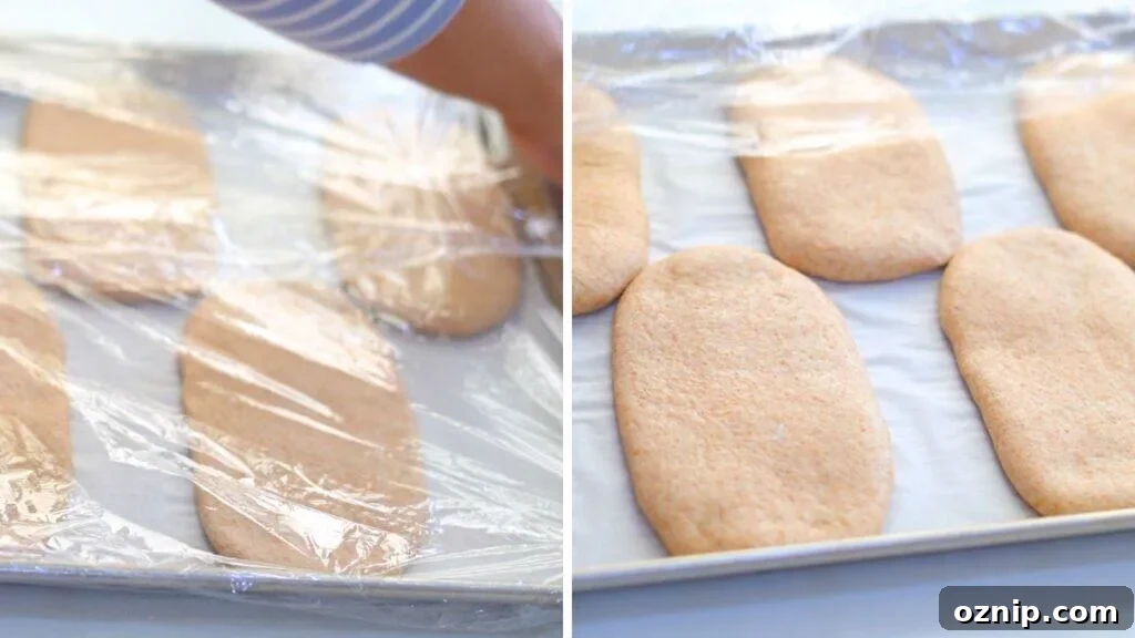 proofing whole wheat panini bread
