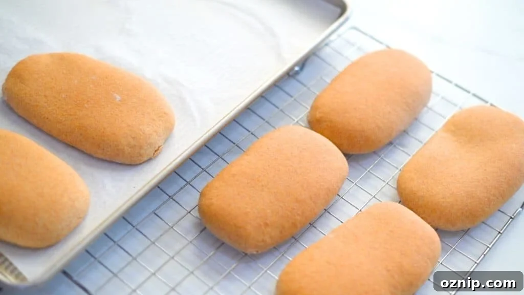 baking whole wheat panini bread
