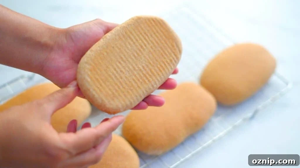 whole wheat panini rolls
