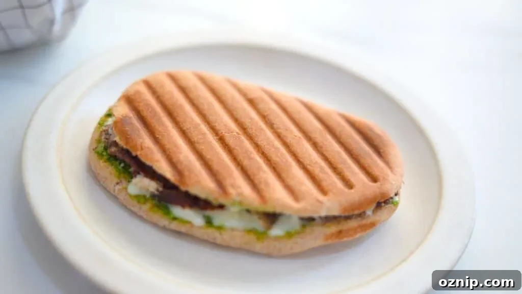 what is a panini