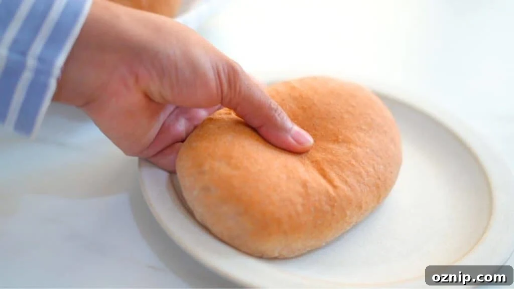 whole wheat panini bread