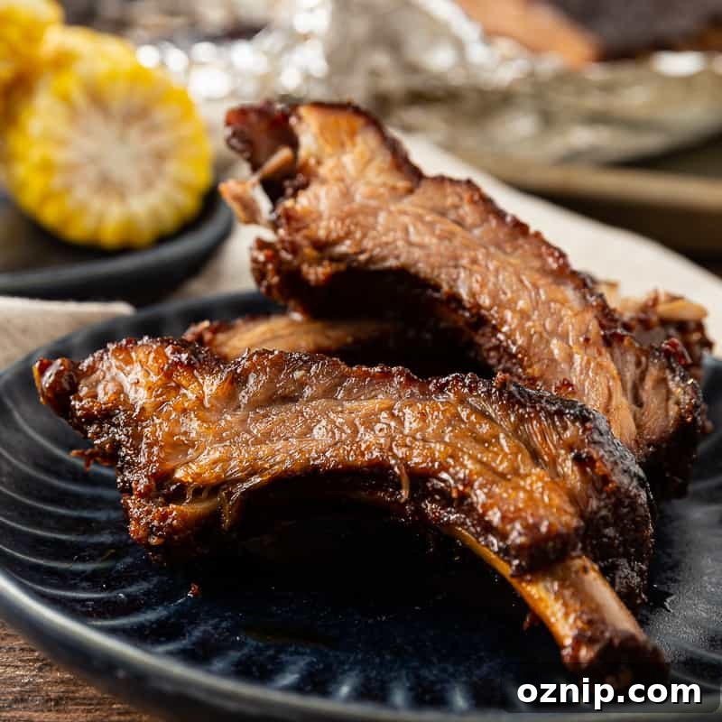 fall off the bone baby back ribs