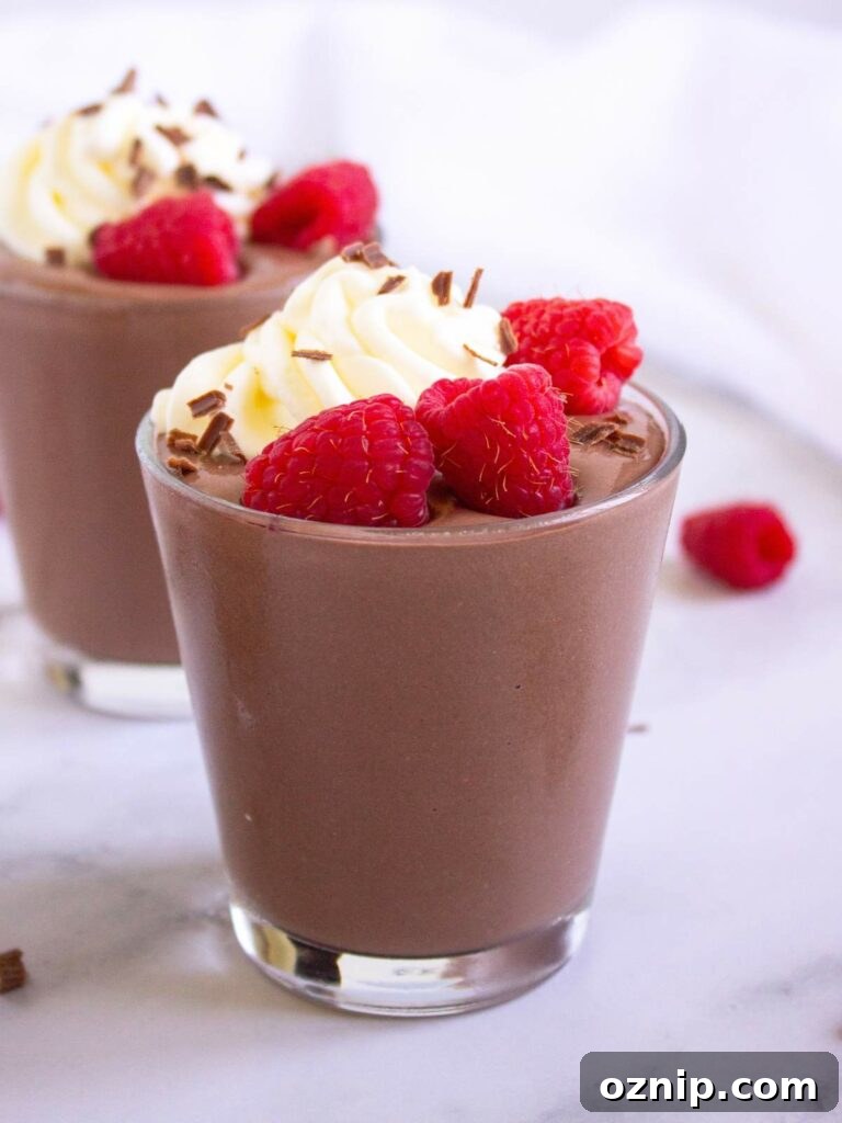 Low Carb Sugar Free Protein Pudding Recipe 2 A glass of protein pudding topped with whipped cream and fresh raspberries.