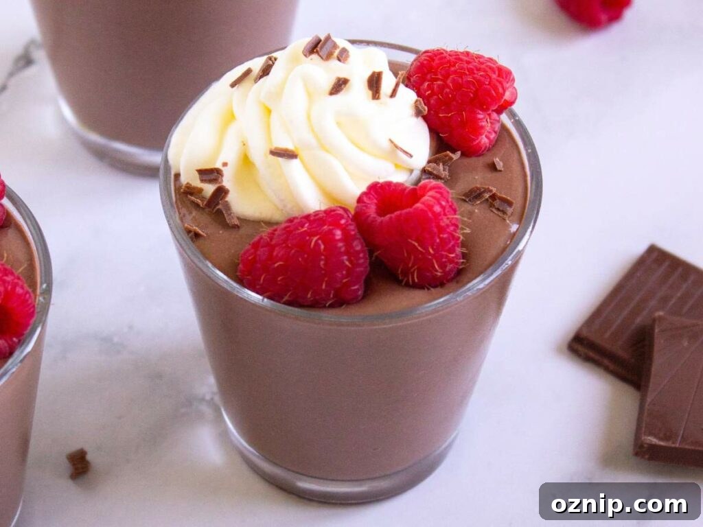 Low Carb Sugar Free Protein Pudding Recipe 14 A glass of protein pudding topped with whipped cream and chocolate shavings.