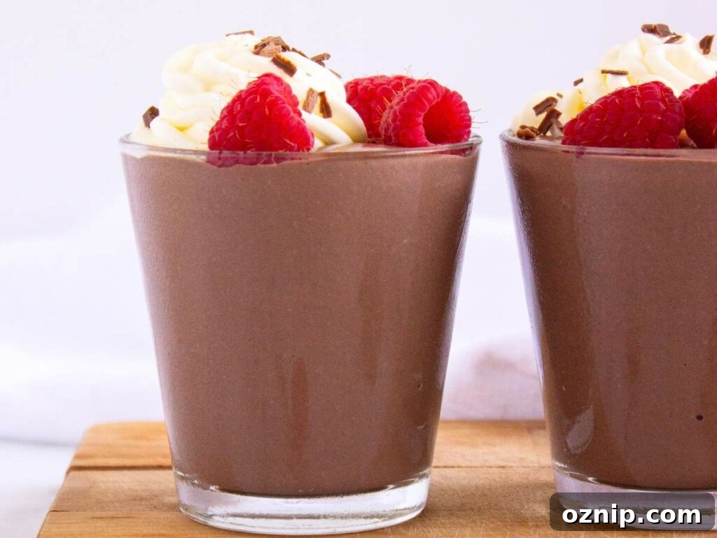 Low Carb Sugar Free Protein Pudding Recipe 16 A glass of protein pudding topped with whipped cream and fresh raspberries.