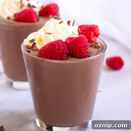 Low Carb Sugar Free Protein Pudding Recipe 17 A glass of protein pudding topped with whipped cream and fresh raspberries.