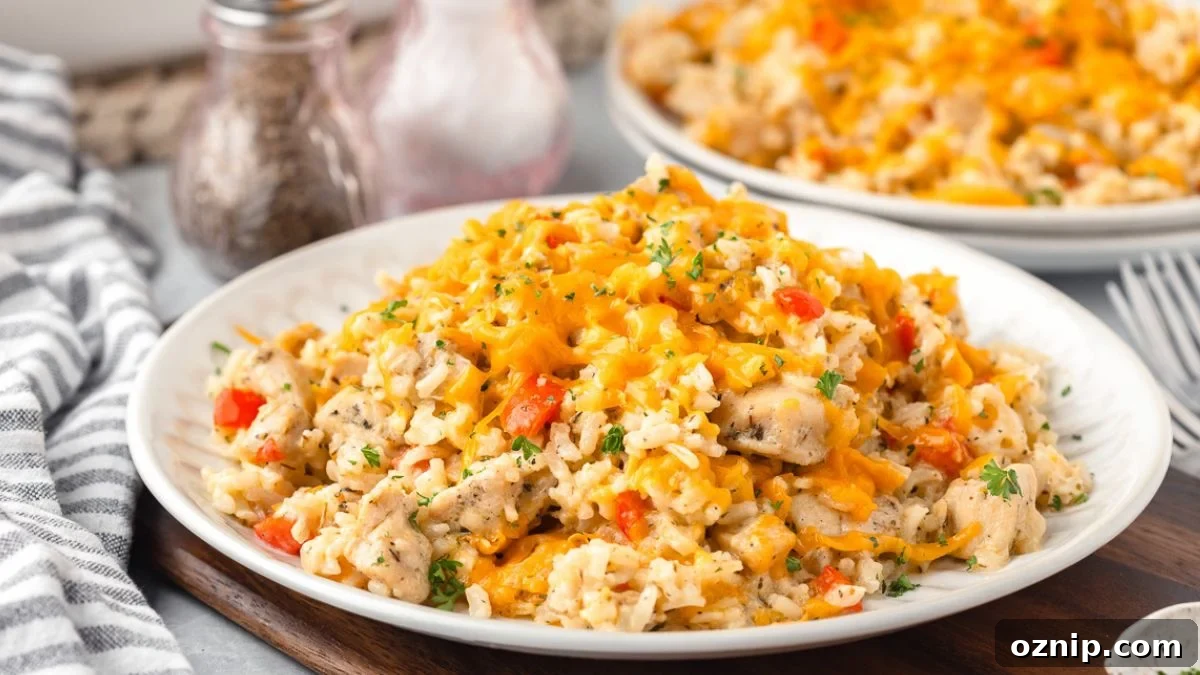 Serving of cheesy chicken and rice on a white plate with another plate in the background.