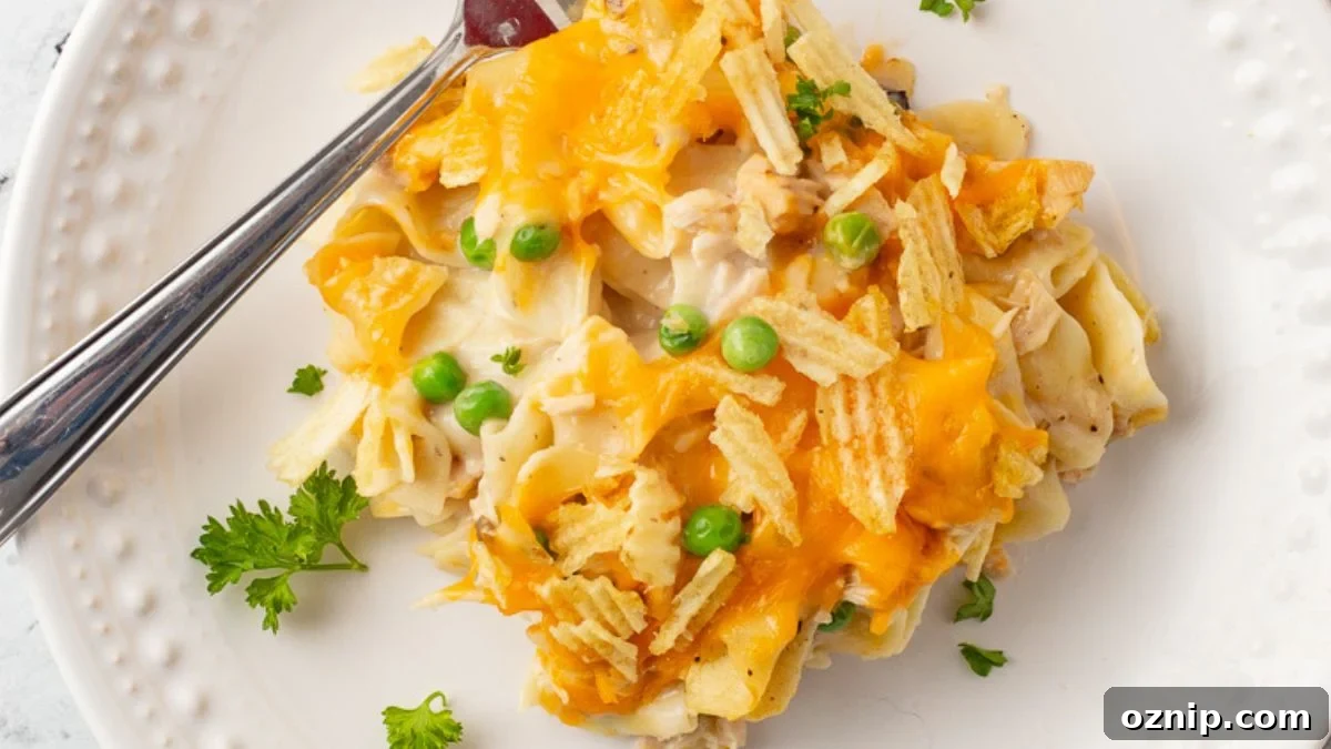 Tuna casserole with potato chip topping on a white plate.