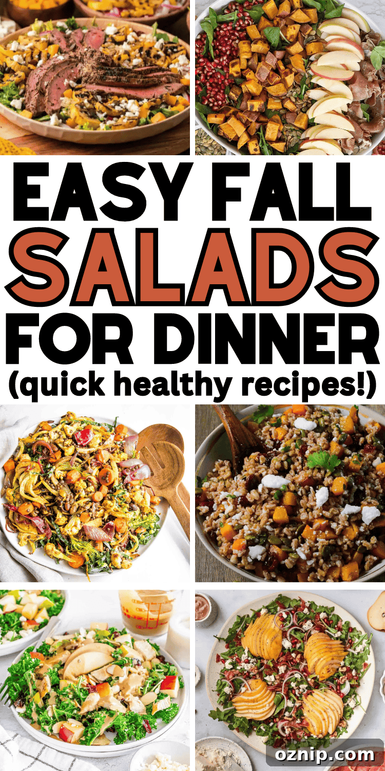 Autumn salad collage