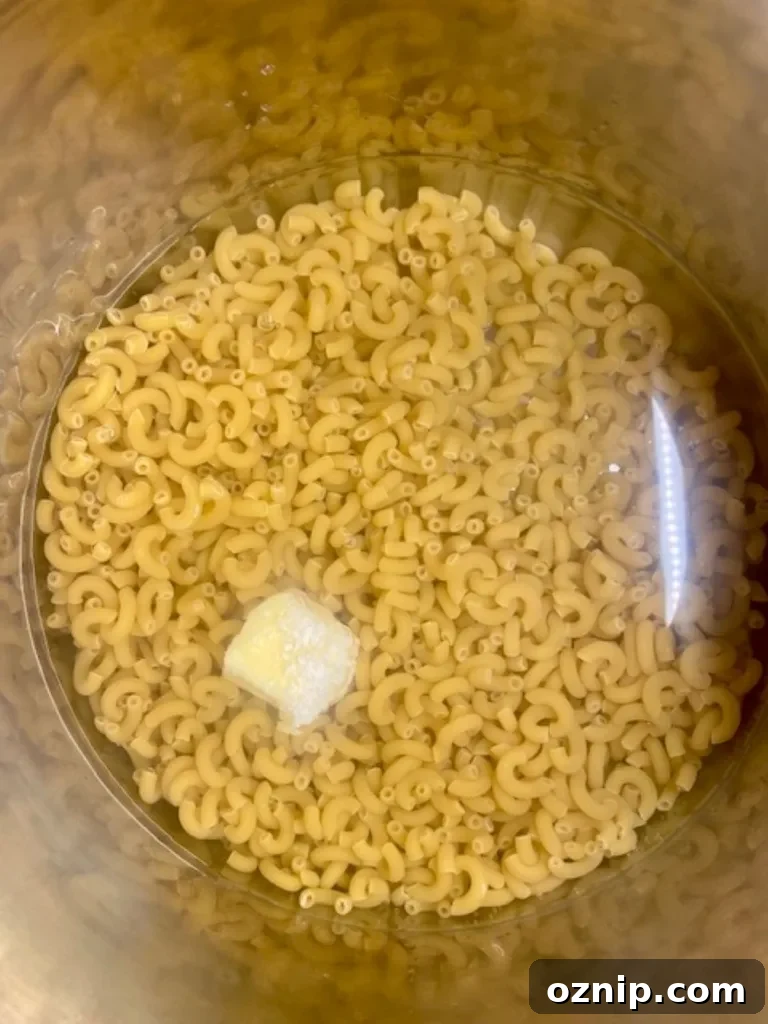 Creamy Instant Pot Mac and Cheese Recipe 3 Elbow macaroni in an Instant Pot before cooking