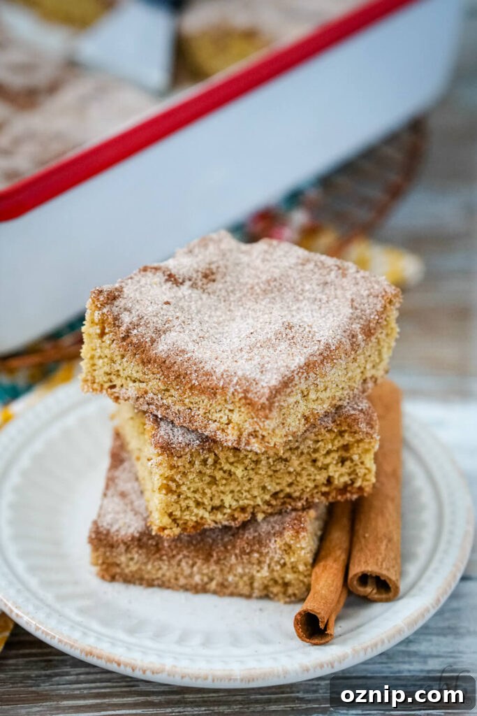 Churro bars on a plate