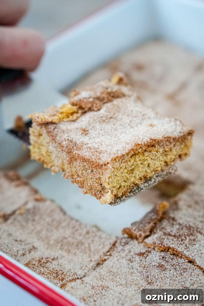 Close up of churro bars