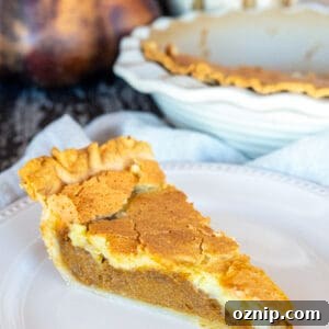 Southern Pumpkin Chess Pie Recipe 3 Slice of pumpkin chess pie.