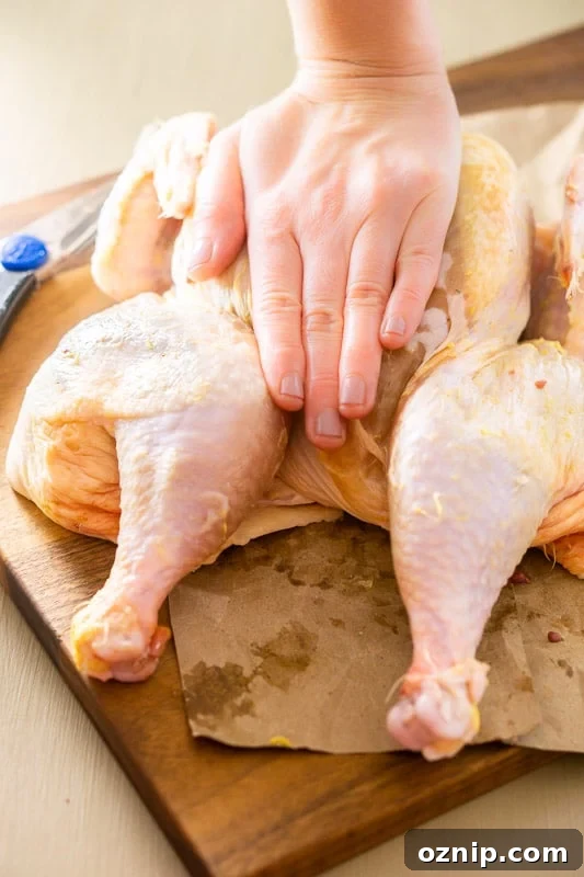 A person breaking the backbone of a raw chicken.