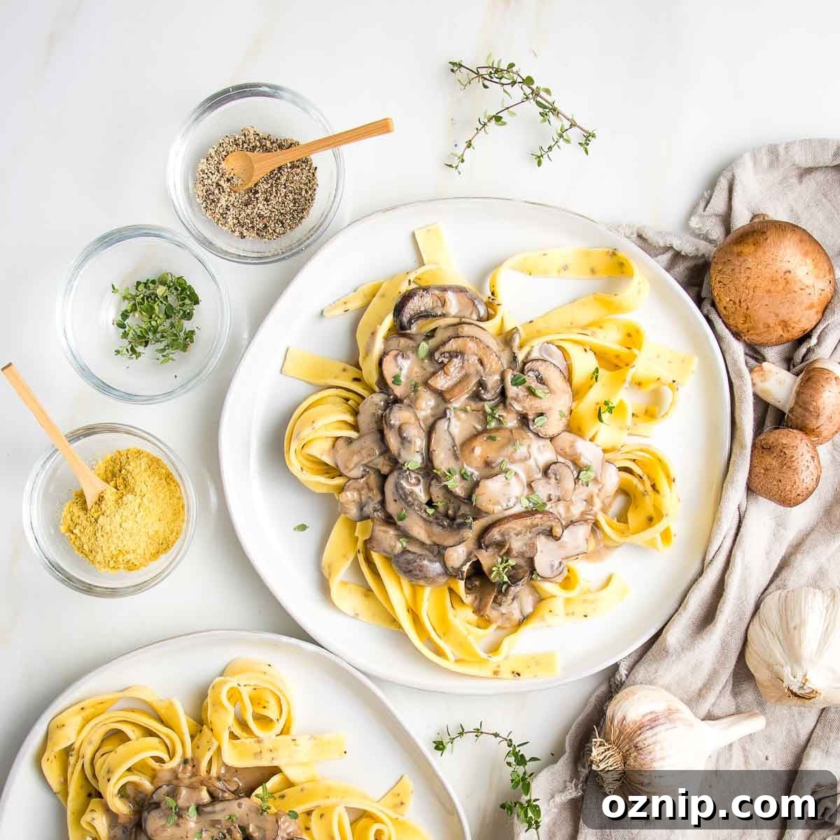 Ribbon noodles topped with mushroom stroganoff.