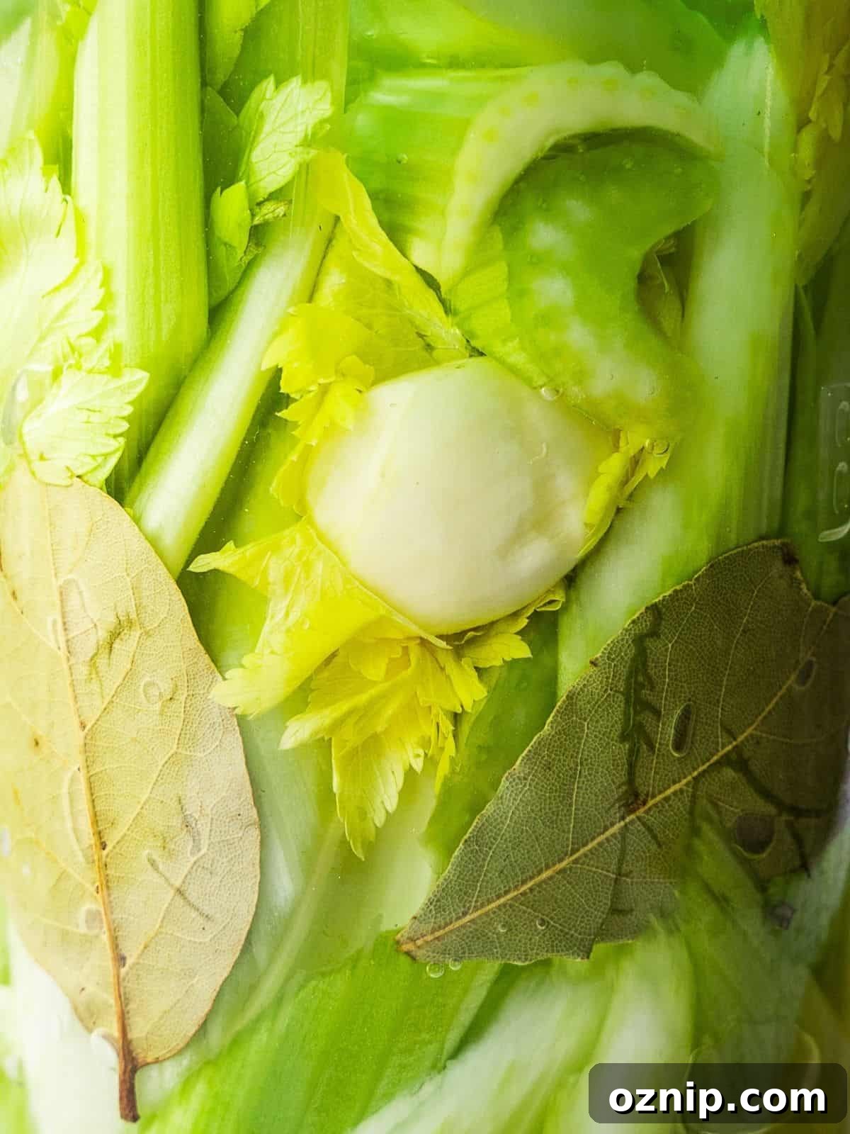 Fermented celery in a mason jar.