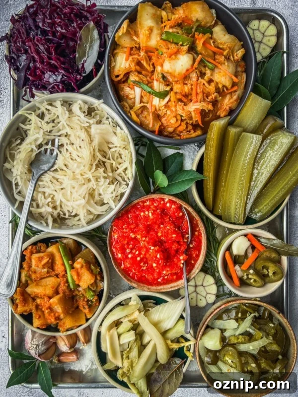 A tray with several different types of fermented foods such as sauerkraut, dill pickles, radishes, jalapenos and more.