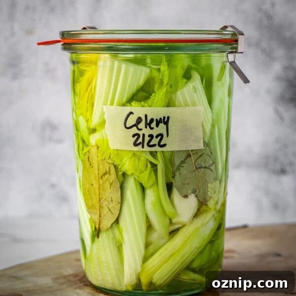 Fermented celery in a mason jar.