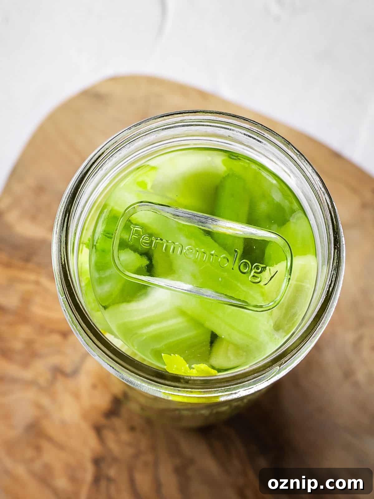 A fermentation weight on top of the packed celery and aromatics in a mason jar.