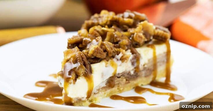Apple Crumble Cheesecake