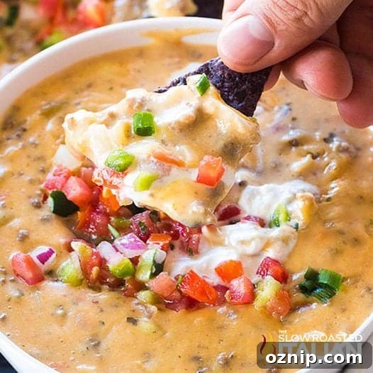 Slow Cooker Nacho Dip