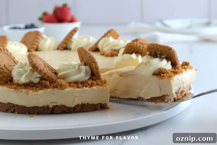 No Bake Biscoff Cheesecake