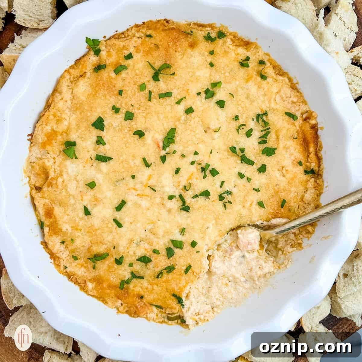Cajun Crab Dip with Shrimp