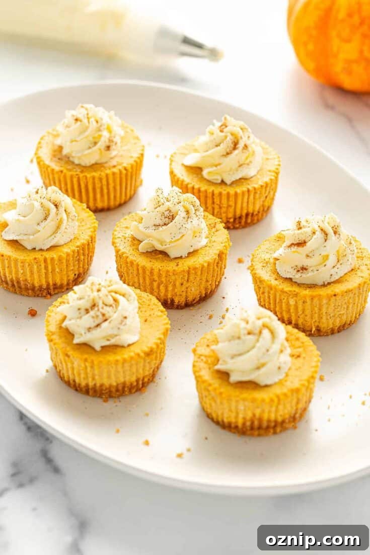 Mini Pumpkin Cheesecakes