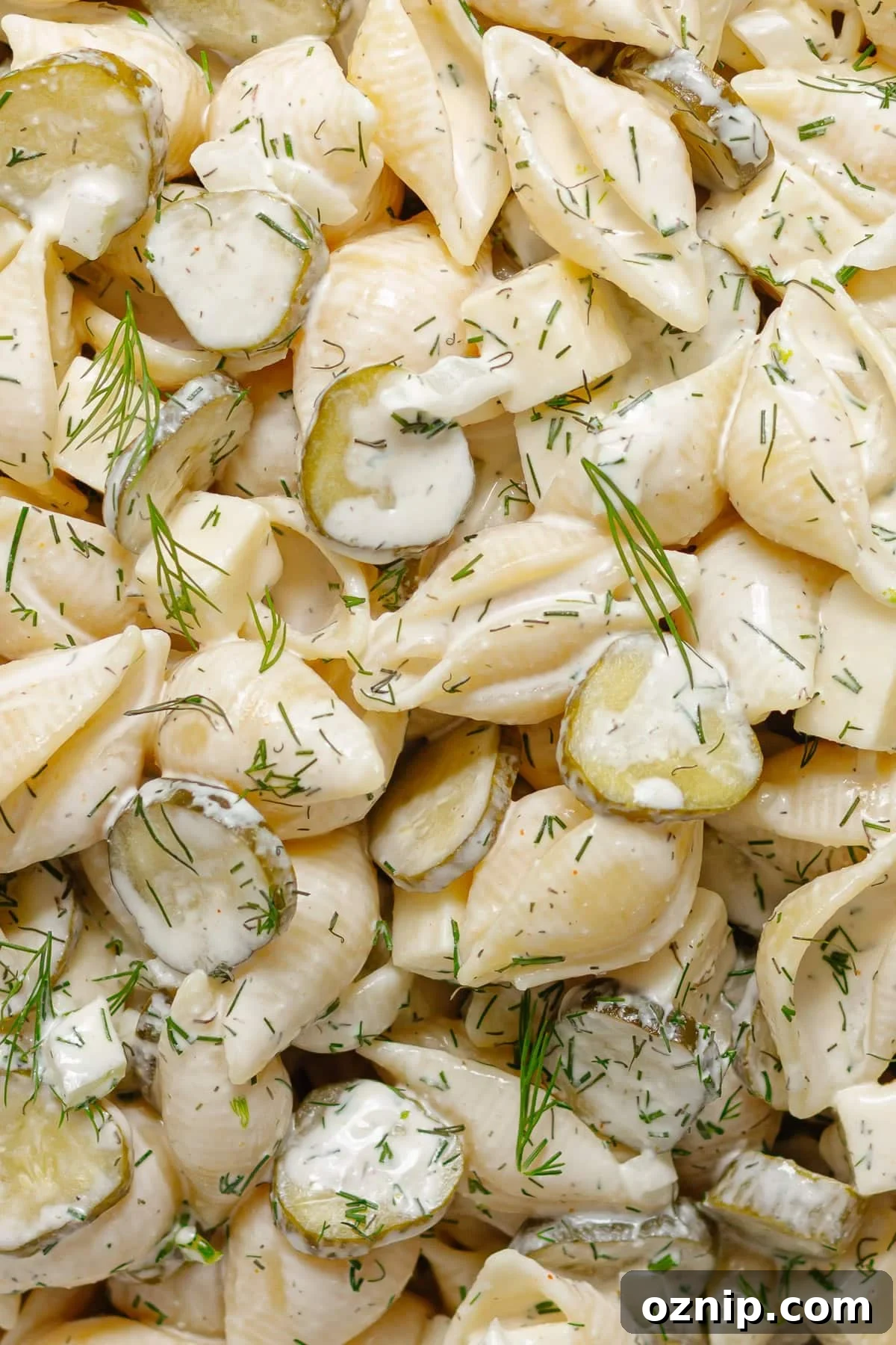 Closeup of dill pickle pasta salad.