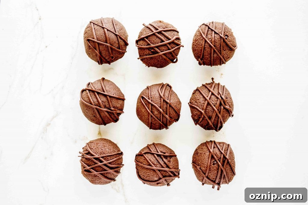 Chocolate Brownie Protein Balls Vegan Gluten Free Grain Free 2 Chocolate Protein Balls