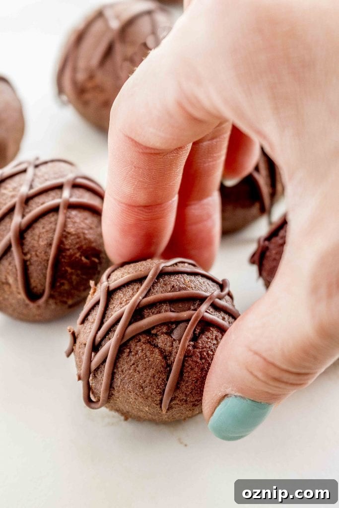 Chocolate Brownie Protein Balls Vegan Gluten Free Grain Free 8 Chocolate Protein Balls