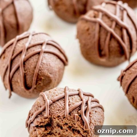 Chocolate Brownie Protein Balls