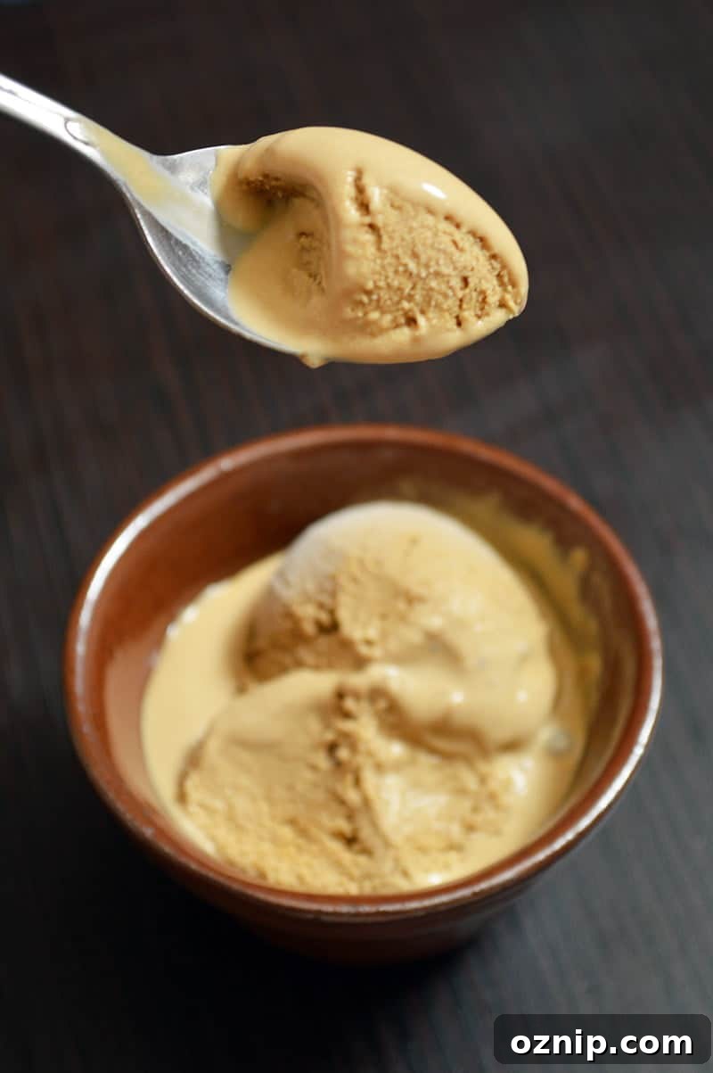bourbon brown sugar ice cream 3