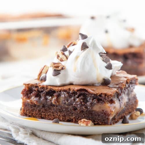 Turtle cake slice topped with whipped cream on a white plate.