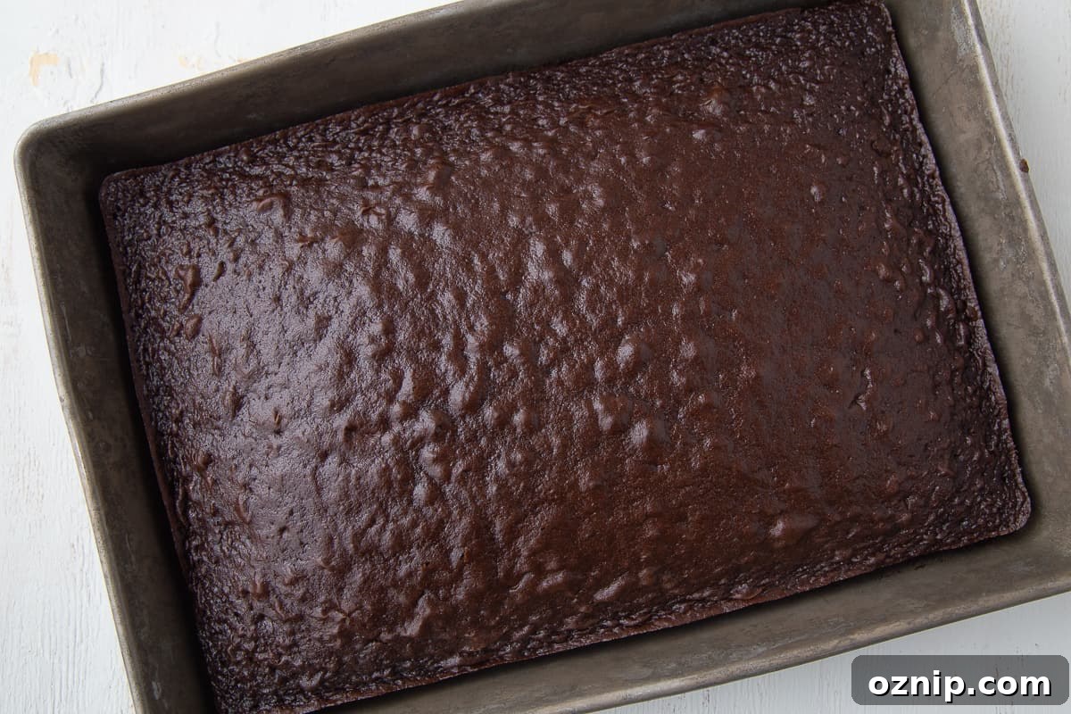 Baked plain chocolate cake in a 13x9 inch pan.