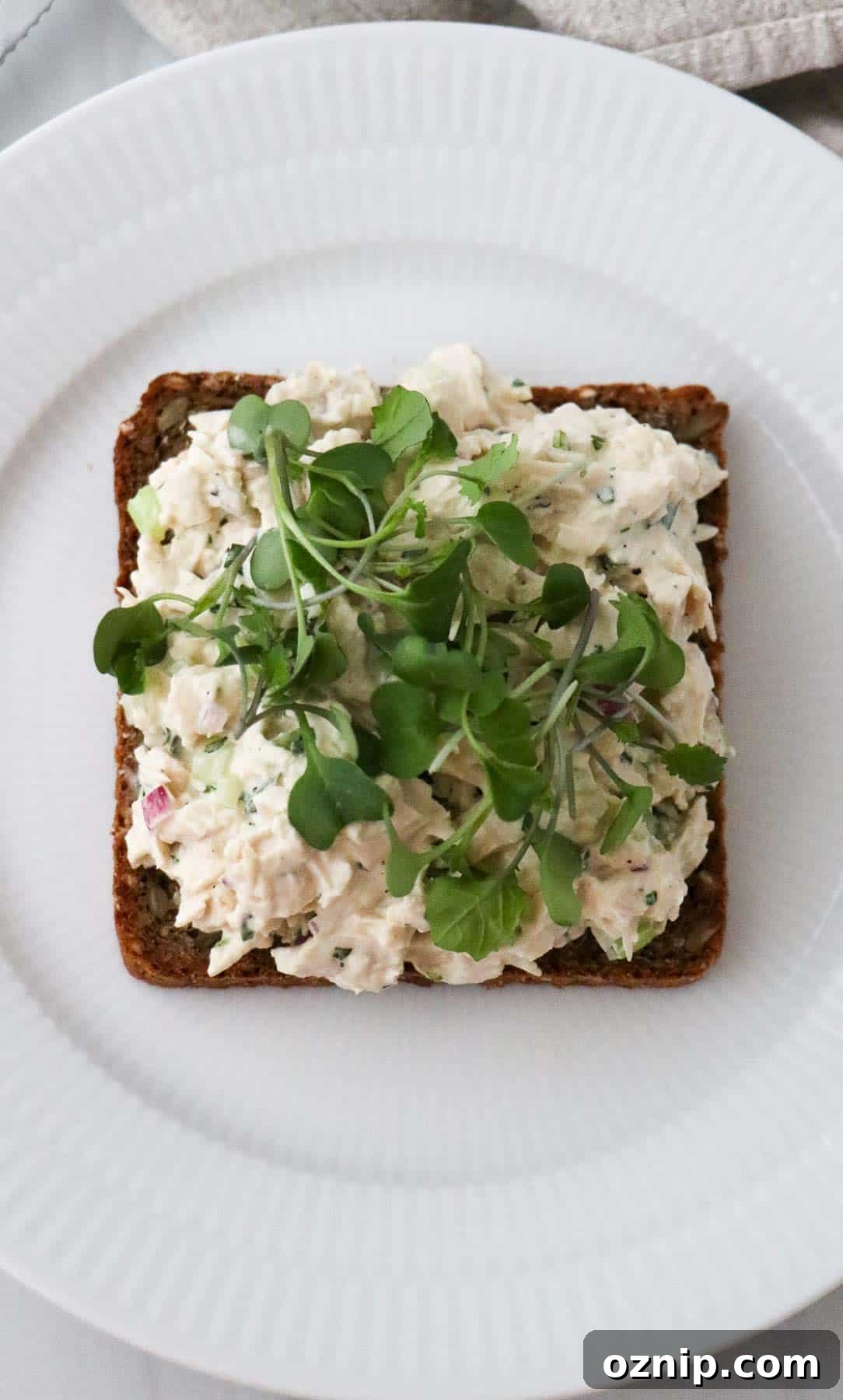 Overhead view of Chicken Salad Smørrebrød on a white plate topped with microgreens.